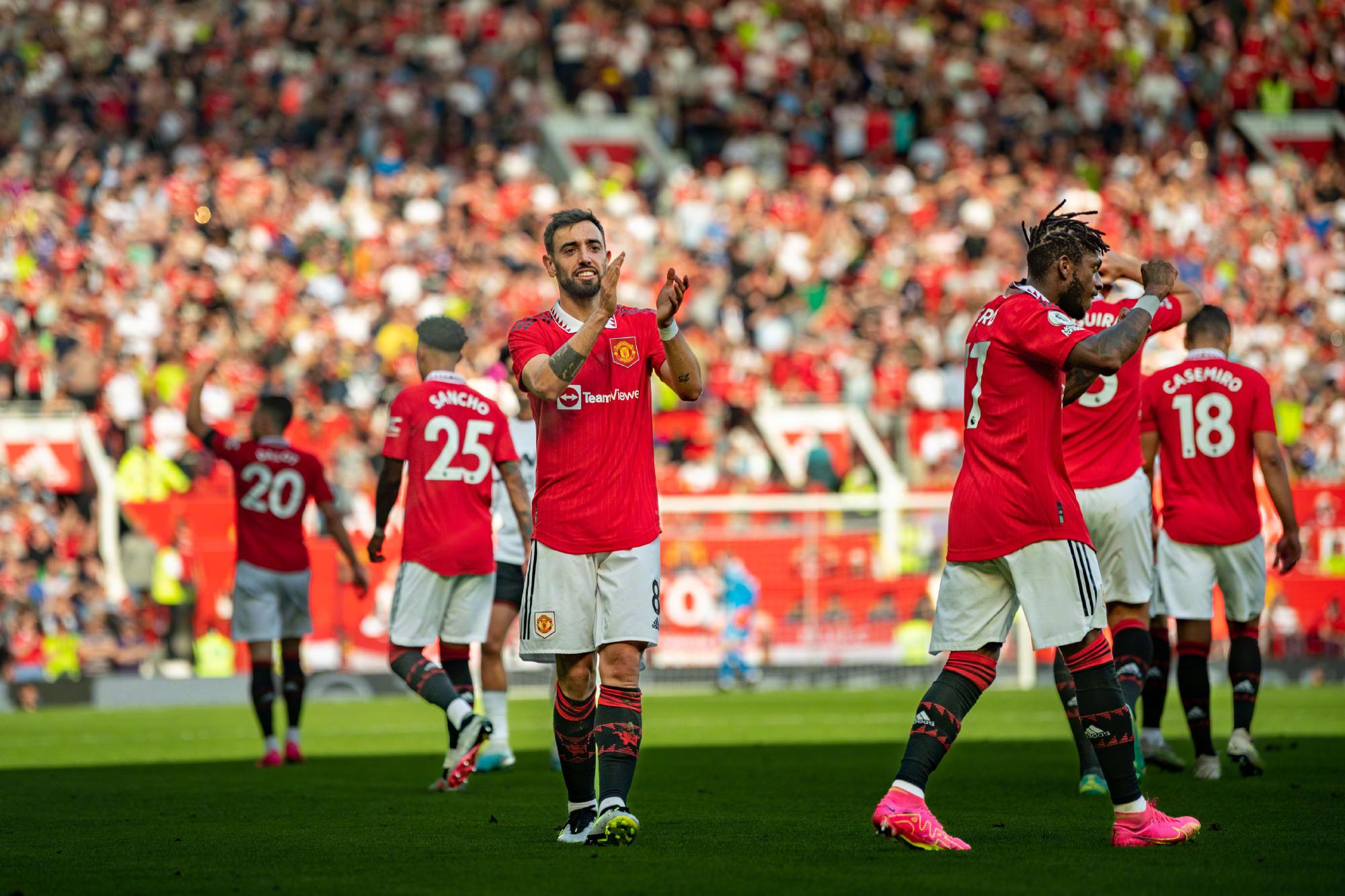 情感的寄托 情感的寄托